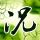 中国合伙人